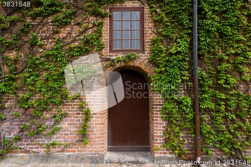 Image of Unique door closeup