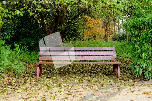 Image of Bench in the park