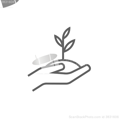 Image of Hands holding seedling in soil line icon.