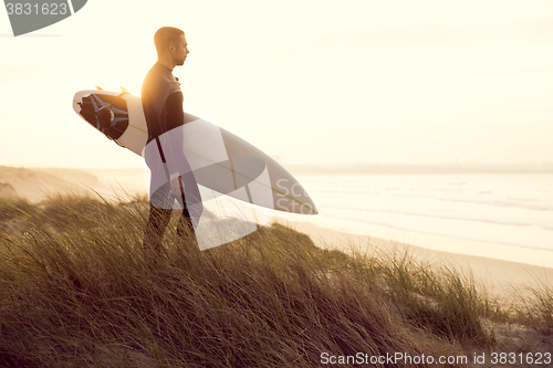 Image of Searching for the swell