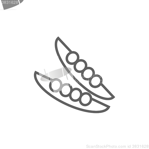Image of Peapod line icon.