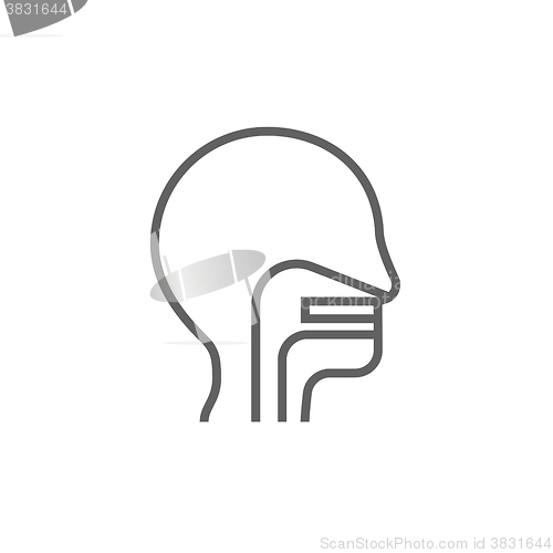 Image of Human head with ear, nose, throat system line icon.