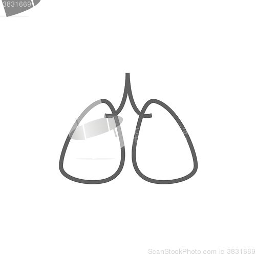 Image of Lungs line icon.