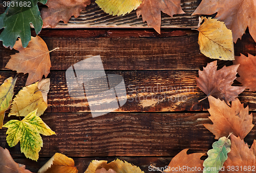 Image of autumn background