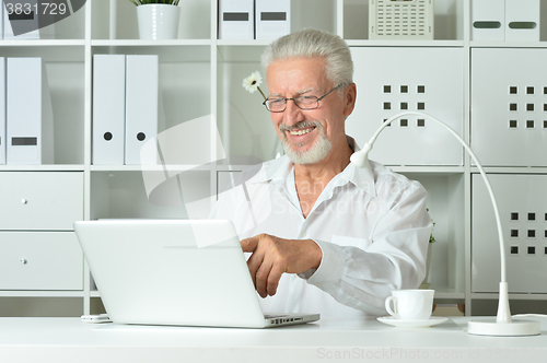 Image of Mature businessman working with laptop