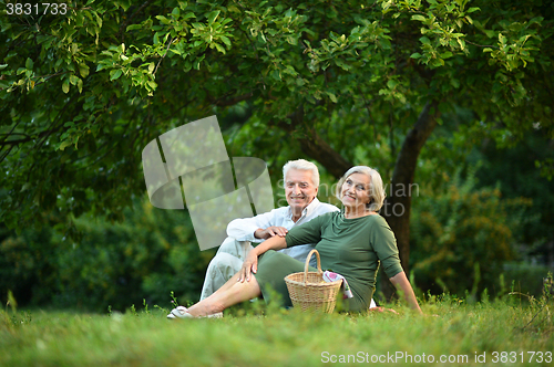 Image of Amusing old couple  in summer park