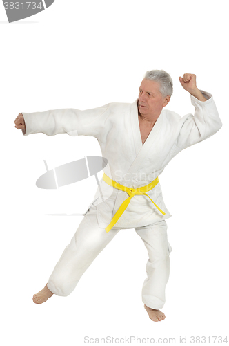 Image of Senior man in karate pose