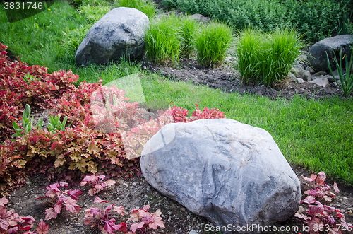 Image of Decorative flower bed in a garden with rocks and plants, close-u