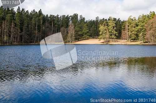 Image of Spring landscape at wood lake