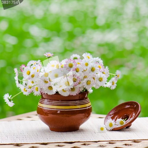 Image of A bouquet of daisies in a pot at the table
