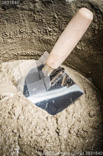Image of A bucket with a solution and a trowel, close-up