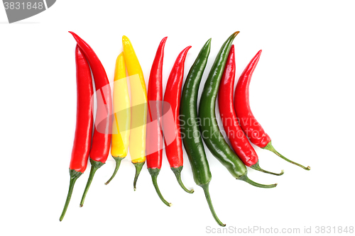 Image of chili pepper