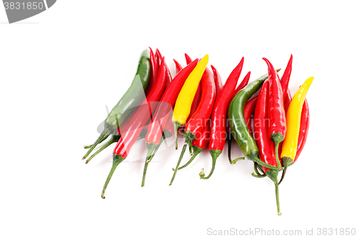 Image of chili pepper