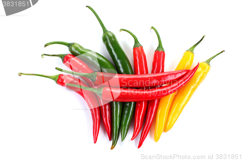 Image of chili pepper