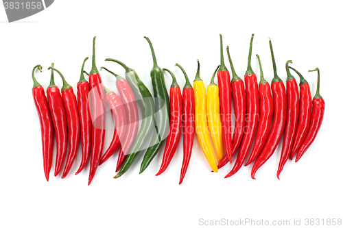 Image of chili pepper