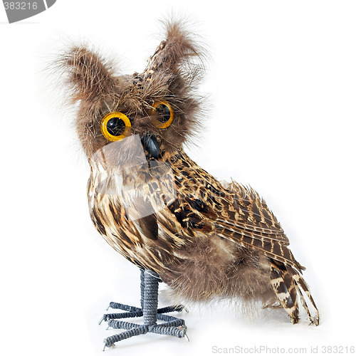 Image of Staffed owl