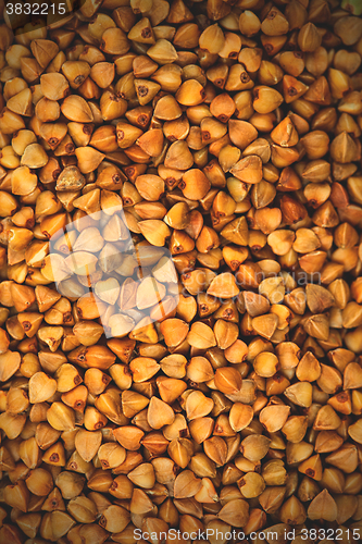 Image of buckwheat seeds