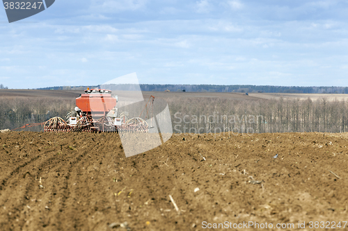 Image of sowing of cereals. Spring  