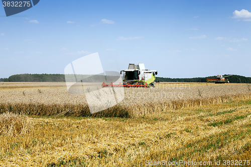 Image of Harvester in the field  
