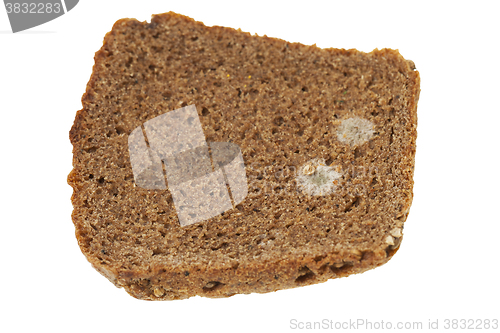 Image of mold on bread  
