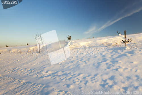 Image of snow covered field  