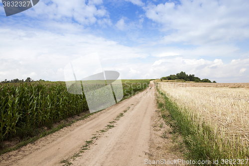 Image of road in a field  