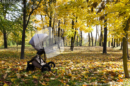 Image of pushchair ,  autumn season.