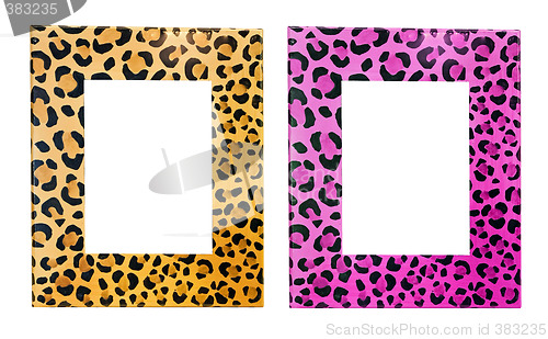 Image of Leopard frames