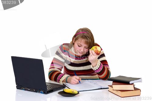 Image of Teenager girl student doing homework