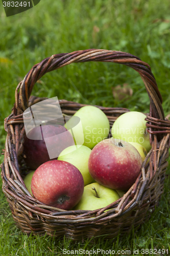 Image of apples