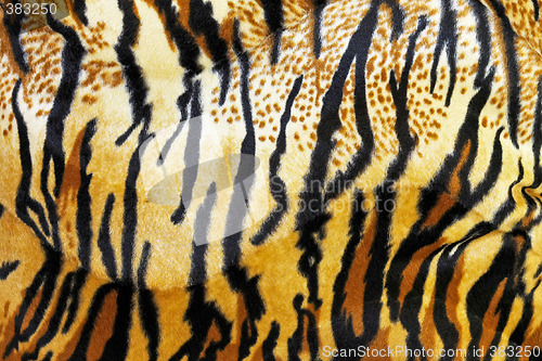 Image of Tiger background