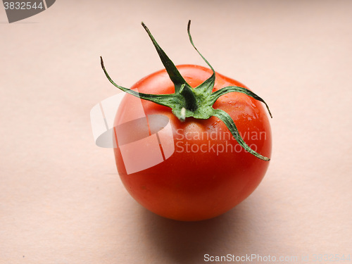 Image of Red tomato vegetables