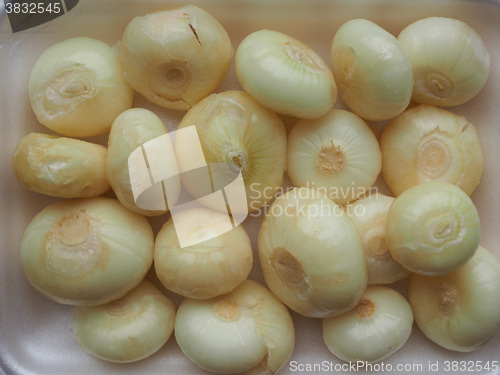 Image of Onions vegetables