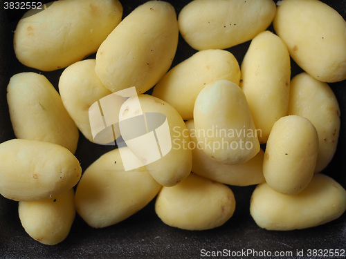 Image of Potato vegetables in a tub