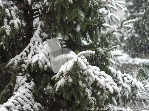 Image of Winter scene with snow