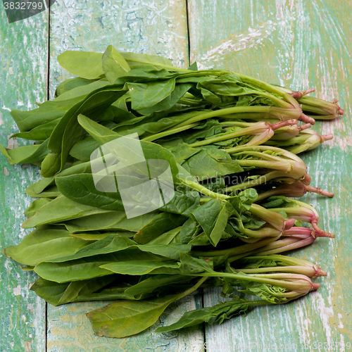 Image of Raw Spinach Leafs