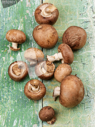 Image of Fresh Portabello Mushrooms