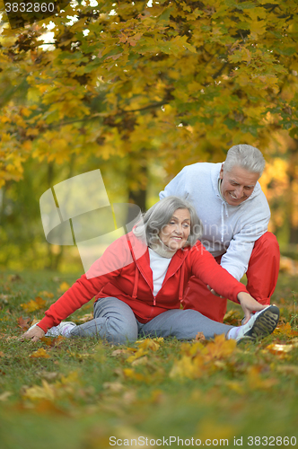 Image of fit senior couple exercising