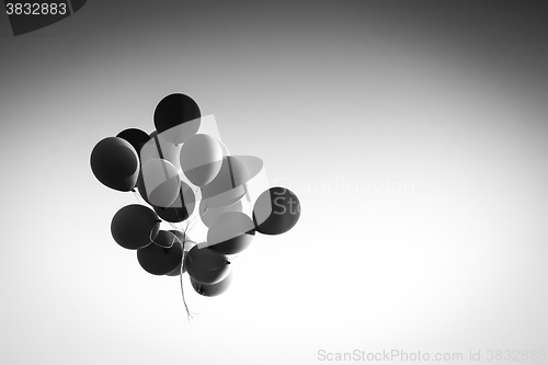 Image of Balloons in air black and white