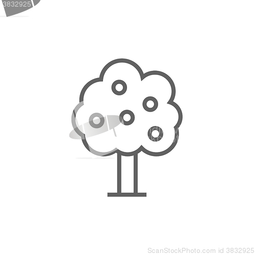 Image of Fruit tree line icon.