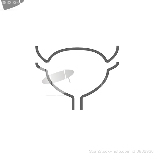Image of Urinary bladder line icon.