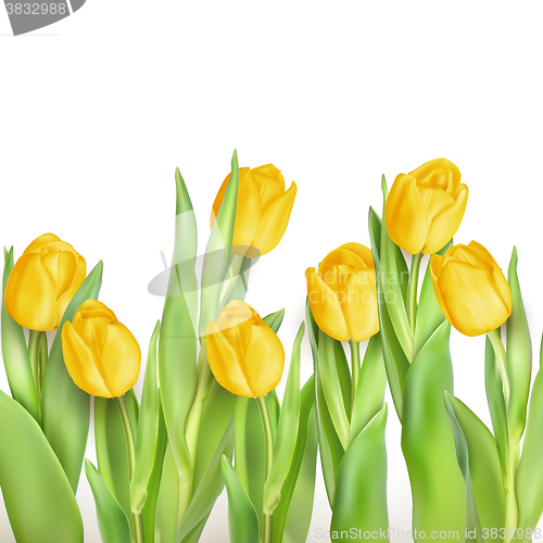 Image of Bunch of tulips. EPS 10