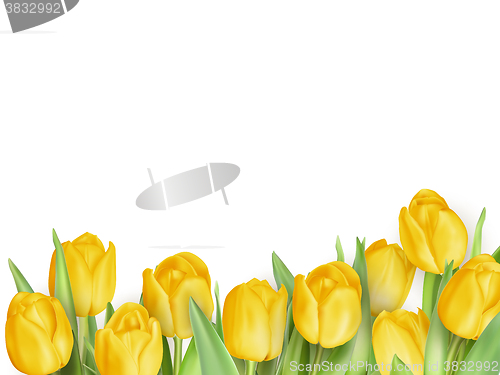 Image of Tulip flowers as a holiday postcard. EPS 10