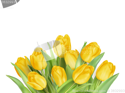Image of Yellow Tulips Flowers. EPS 10