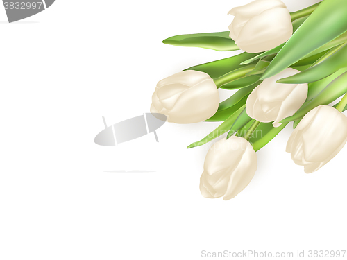 Image of Tulips decorative background. EPS 10