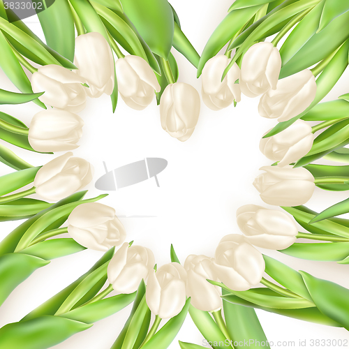 Image of Isolated tulip frame. EPS 10