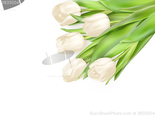 Image of Tulips decorative background. EPS 10