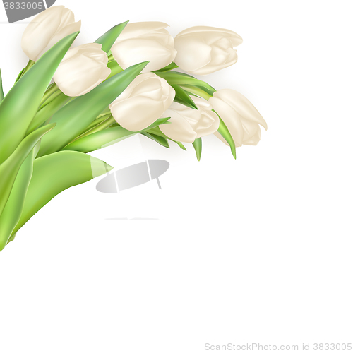 Image of Isolated tulip frame. EPS 10