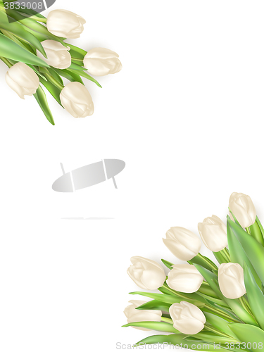 Image of Isolated tulip frame. EPS 10