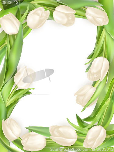 Image of Isolated tulip frame. EPS 10